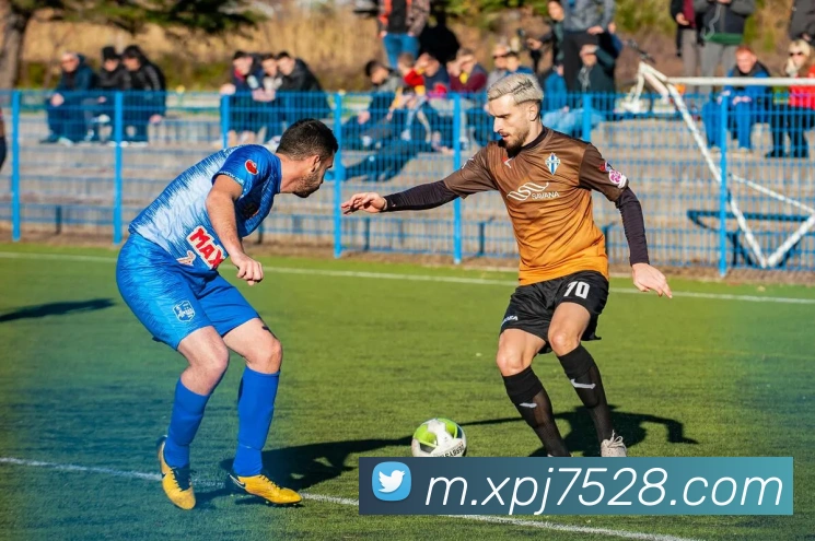 体育直播服务